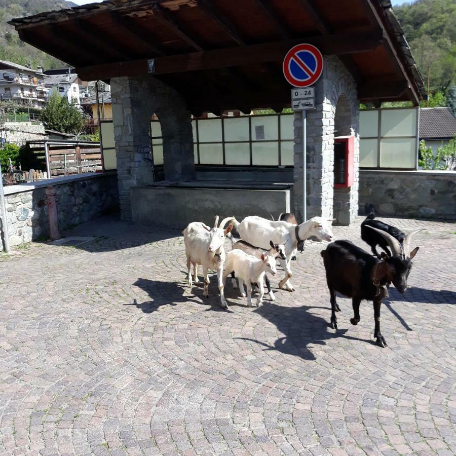Il Battito Villa Saint-Vincent Dış mekan fotoğraf